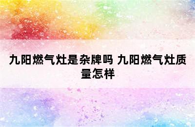 九阳燃气灶是杂牌吗 九阳燃气灶质量怎样